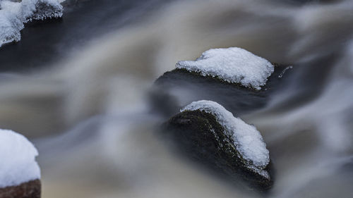 Close-up of ice crystals on rock