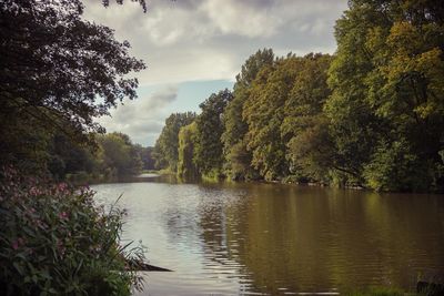 Scenic view of lake by trees against sky