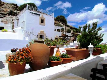 Potted plants on terrace against sky