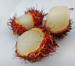 High angle view of fruit in plate