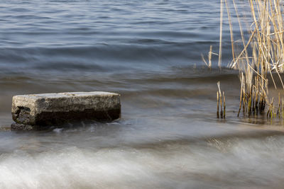 High angle view of wooden posts in sea