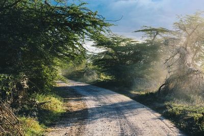 Road amidst trees against sky