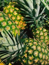 Close-up of pineapples for sale