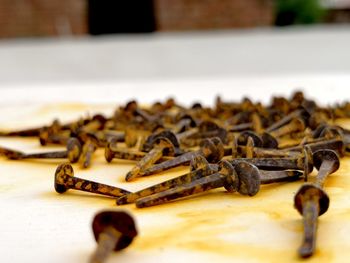 Close-up of rusty metal on table