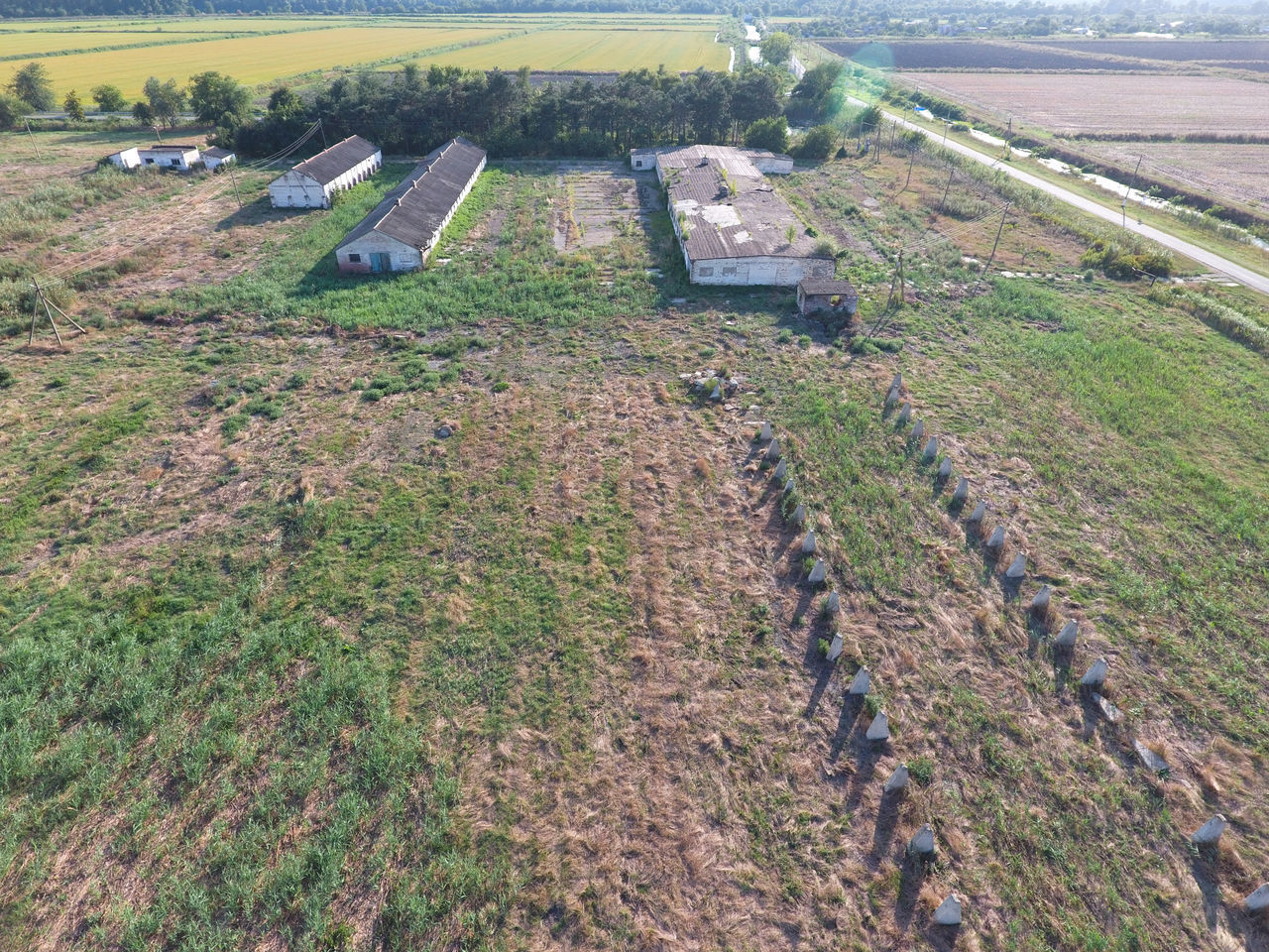 HIGH ANGLE VIEW OF PLANTS GROWING ON LAND