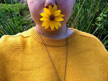 Midsection of girl holding sunflower in mouth