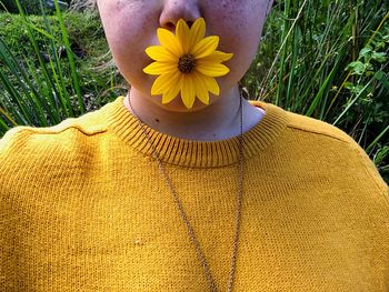 Close-up of sunflower