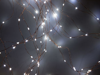 Low angle view of illuminated string lights