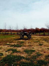 Bicycles on field