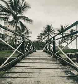 Empty footpath leading to palm trees against sky