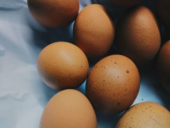 High angle view of eggs on table