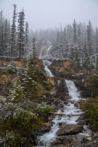 Scenic view of waterfall in forest against sky