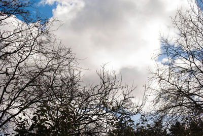 Low angle view of bare tree against cloudy sky