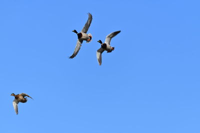 flying