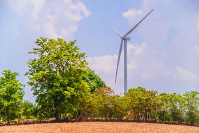A single windmill on a kumquat farm with blue sky and green surroundings. windmills with trees.