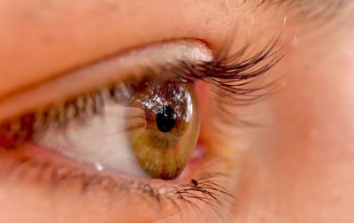 Extreme close-up of human eye