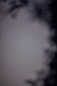 Low angle view of silhouette moon at night