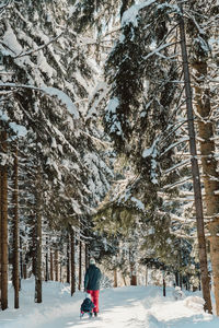 Rear view of man walking on snow covered landscape