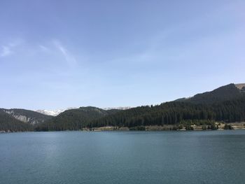 Scenic view of lake by trees against sky