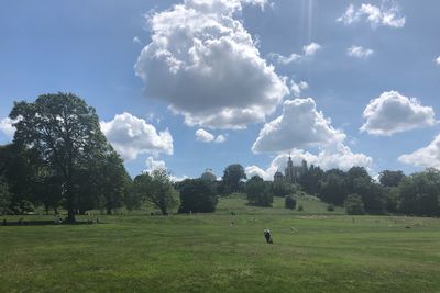 Trees on field against sky