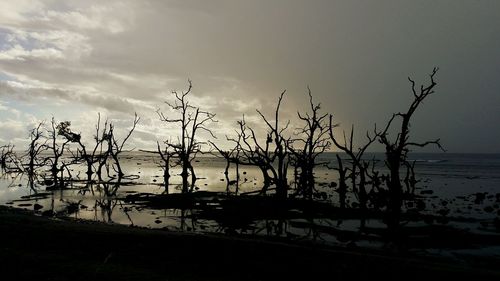 Silhouette bare tree by sea against sky during sunset