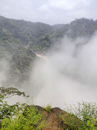 environment