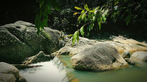 Scenic view of rocks by river