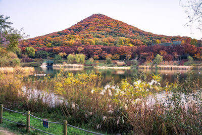 Scenic view of lake against sky during autumn
