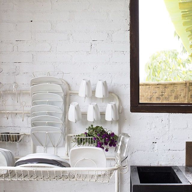 POTTED PLANTS IN FRONT OF WHITE WALL