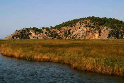 Scenic view of landscape against clear sky