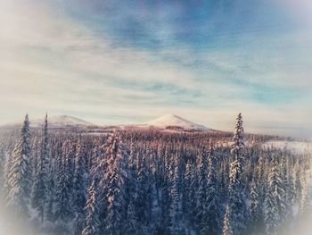 Scenic view of snow covered land against sky