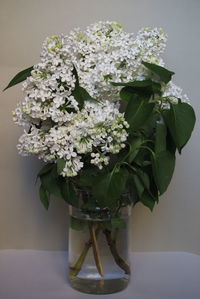 Close-up of white flower vase on table