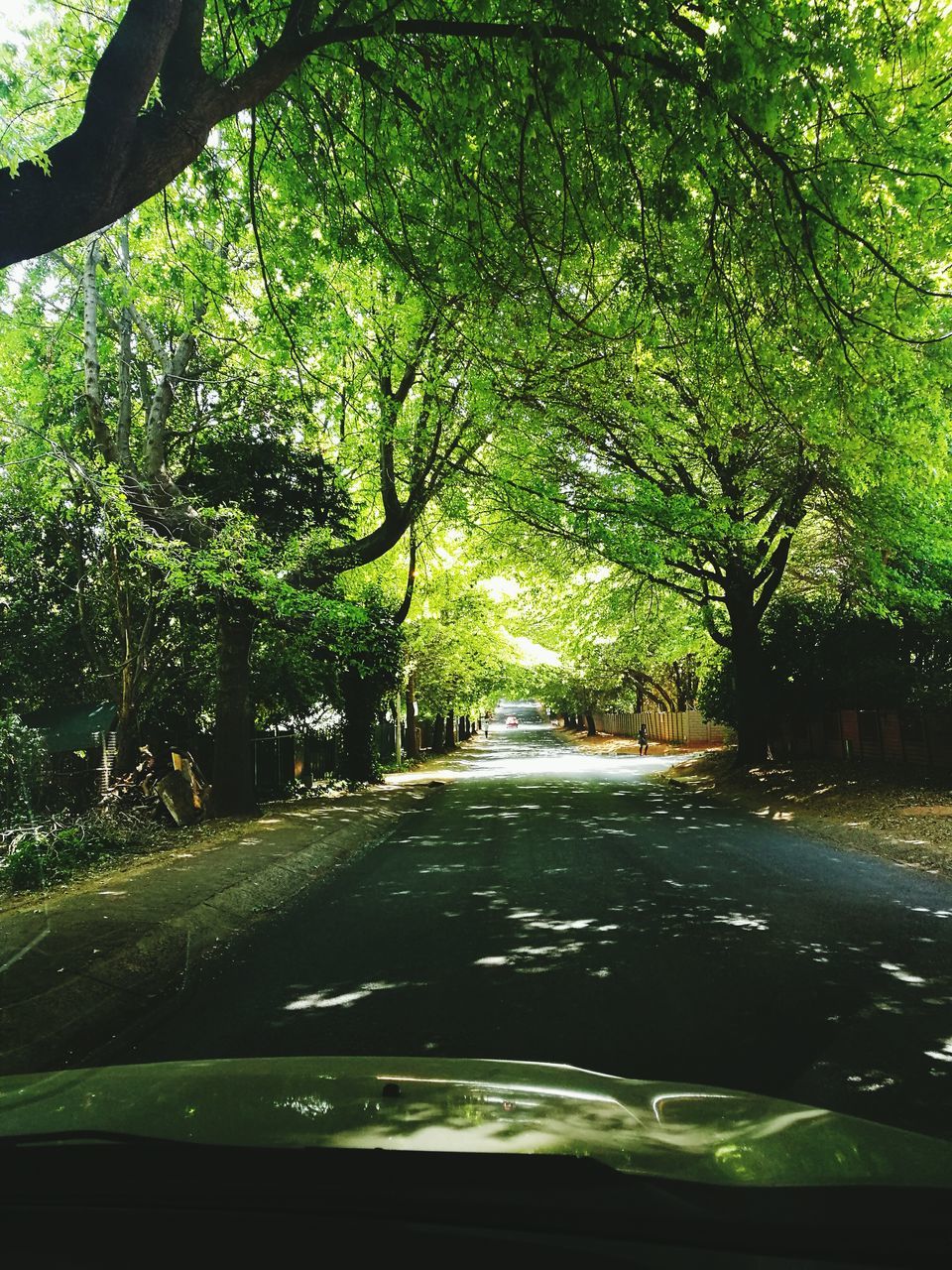 EMPTY ROAD WITH TREES IN FOREGROUND