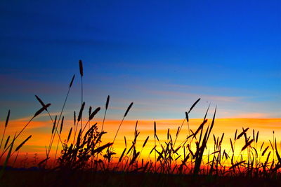 Scenic view of field against sky at sunset