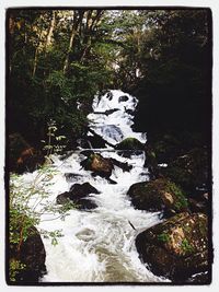 River passing through forest