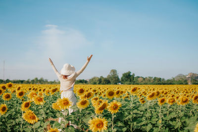 Rear view of sunflower on field against sky