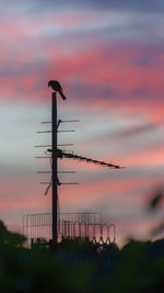 Silhouette bird perching on wooden post against sky during sunset