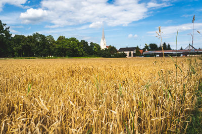 Scenic view of agricultural field against sky