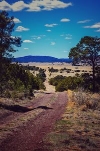 Scenic view of landscape against cloudy sky