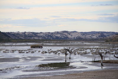 Scenic view of landscape against sky during winter