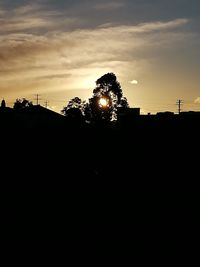 Silhouette trees against sky during sunset