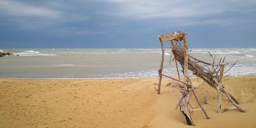 Driftwood on beach against sky