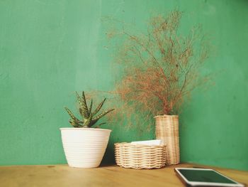 Potted plant on table against wall