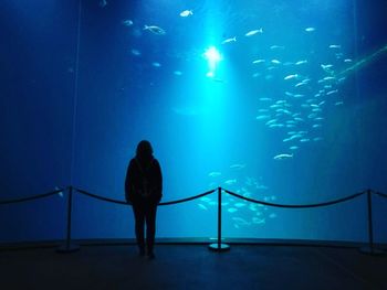 Silhouette of man standing in aquarium
