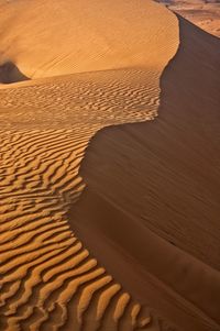 High angle view of sand dune in desert