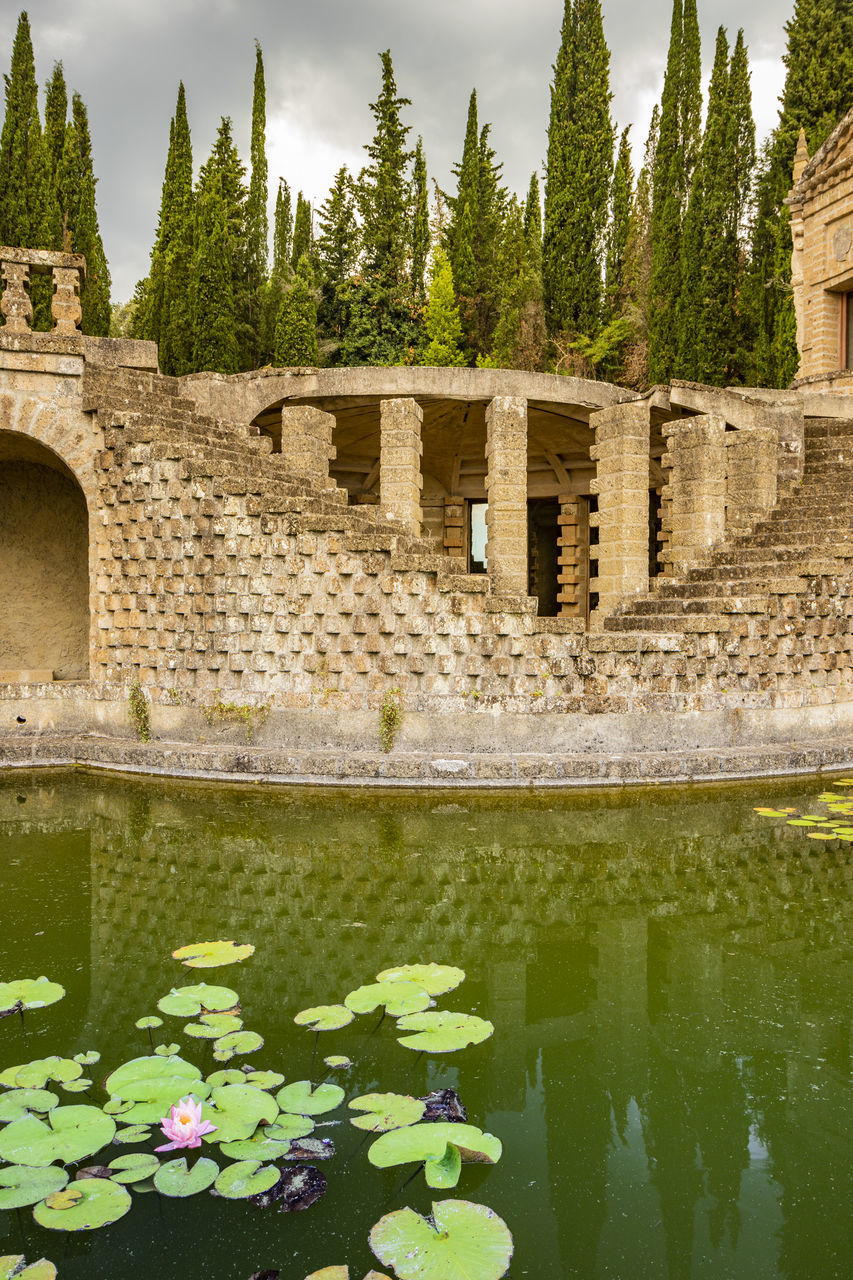 SCENIC VIEW OF LAKE AND PLANTS BY POND