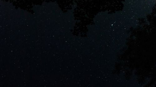 Low angle view of star field at night