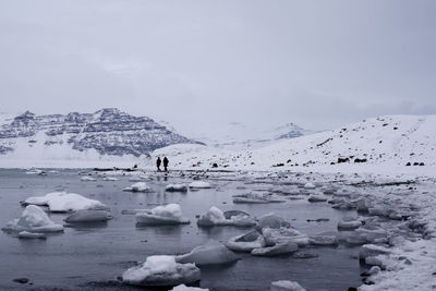 Flock of birds in water during winter