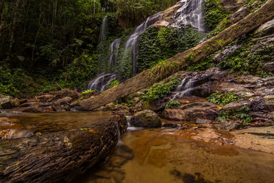 Beautiful view of waterfall flowing in forest