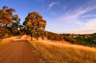 Road amidst trees against sky during autumn